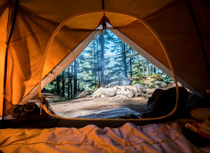 Outdoor Camping Patio Adventure Camps Outing Patio Survive Survivor Forest Mountains Furniture - Home Brains And Brawn