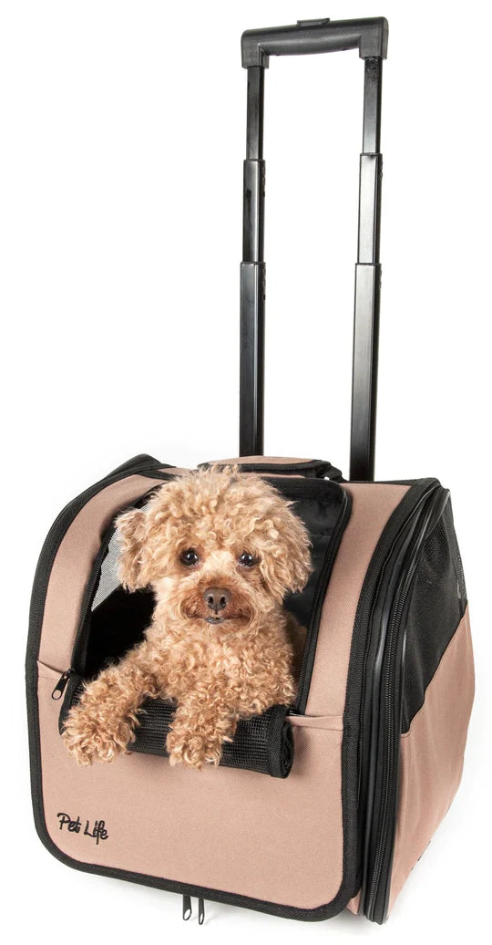 travel transportation safe pets pet dog COMFORTABLE cat carrier