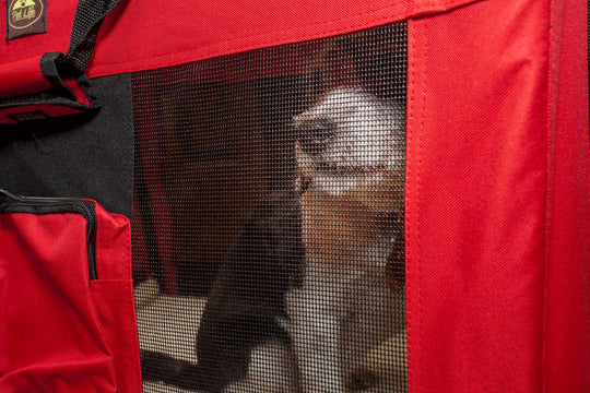 travel transportation secure safety safest safer safe pets pet cart carrier