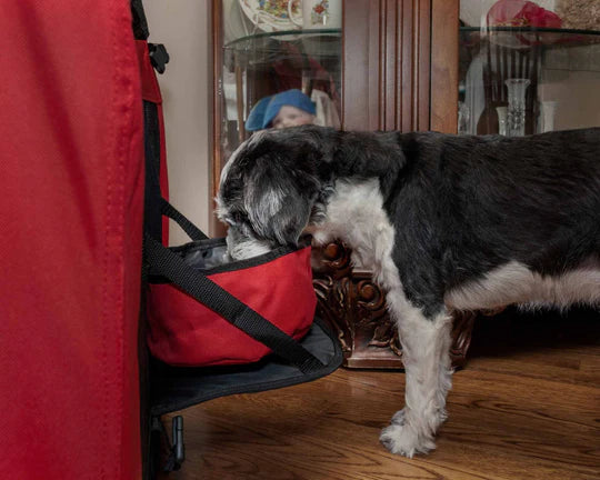 travel transportation secure safety safest safer safe pets pet cart carrier