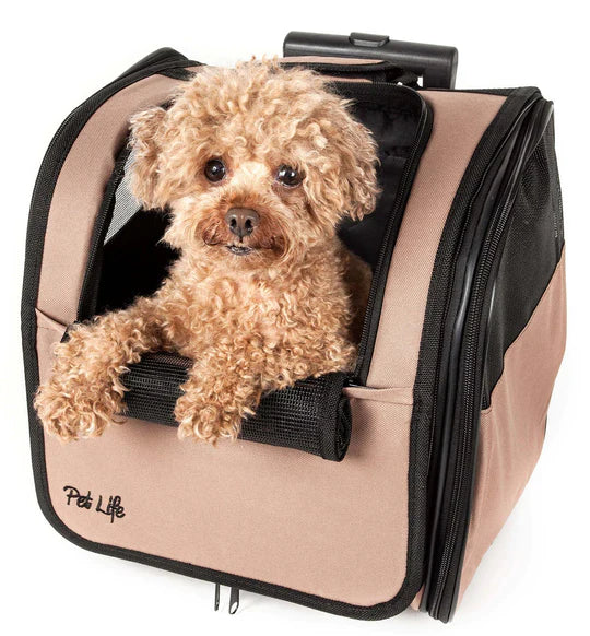 travel transportation safe pets pet dog COMFORTABLE cat carrier