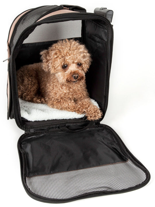 travel transportation safe pets pet dog COMFORTABLE cat carrier