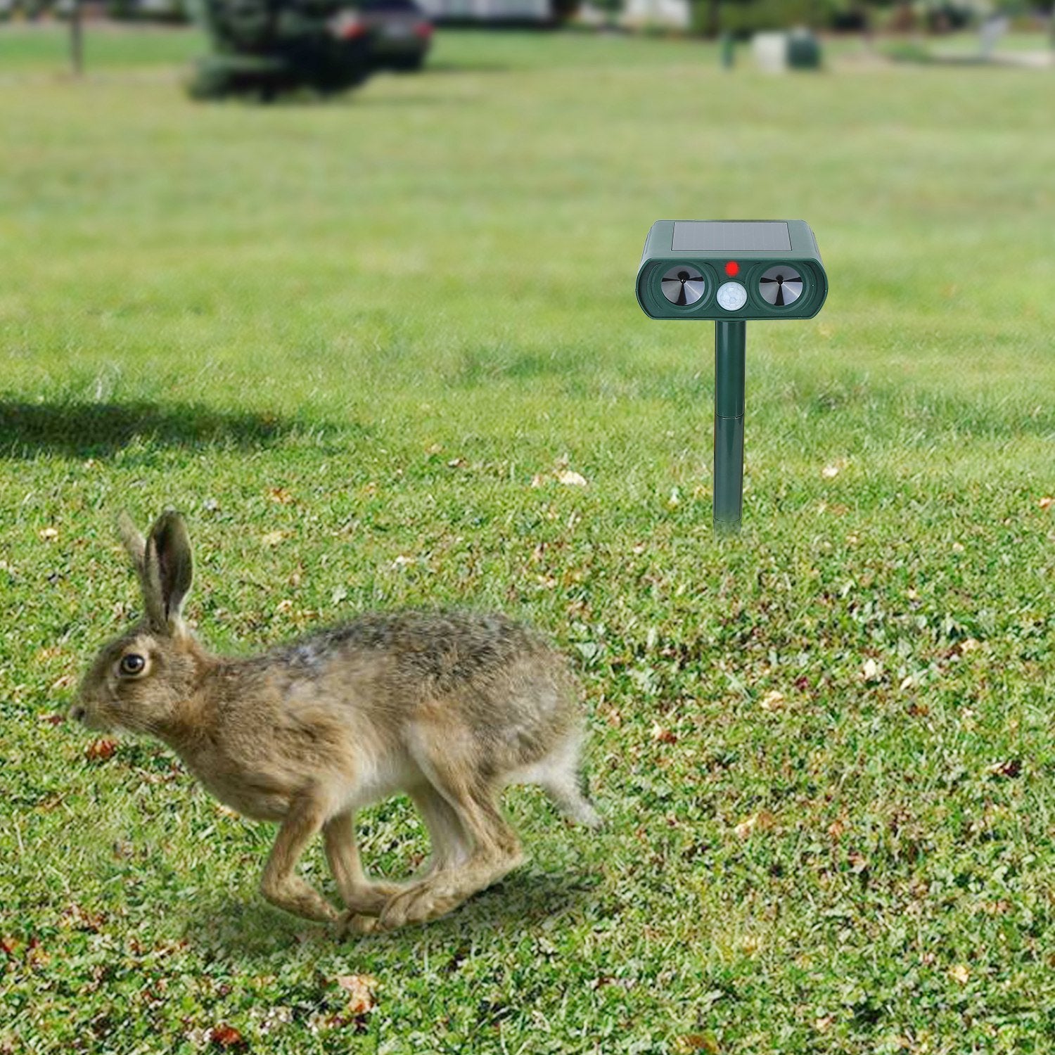 Ultrasonic Animal Repeller Solar Powered Motion Sensor Repellent - Home Brains And Brawn