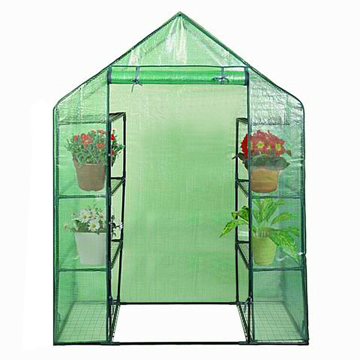 Shelves Walk-in Plant Greenhouse - HomeBrainsandBrawn