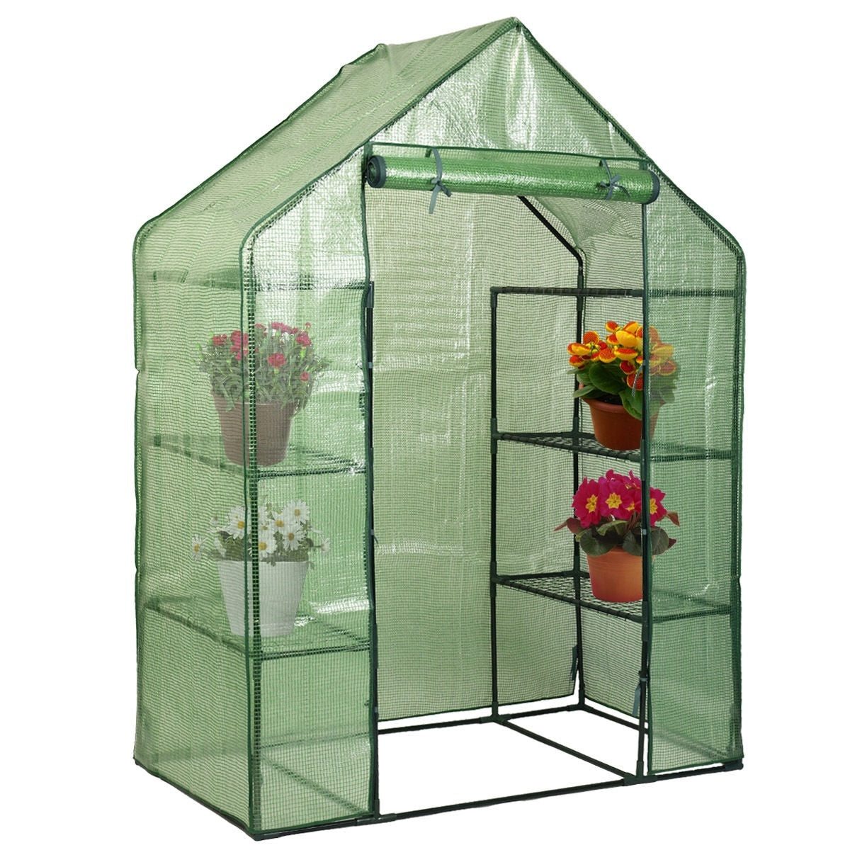 Shelves Walk-in Plant Greenhouse - HomeBrainsandBrawn