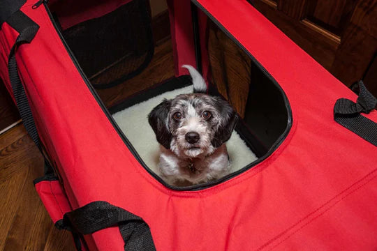travel  transportation  secure  safety  safest  safer  safe  pets  pet  cart  carrier