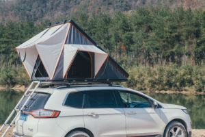 Trustmade Triangle For Outdoor - HomeBrainsandBrawn