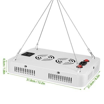 LED Grow Light 1000W 380-800nm Plant Grow Light - Home Brains And Brawn
