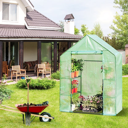 Shelves Walk-in Plant Greenhouse - HomeBrainsandBrawn