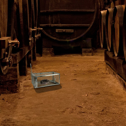 Rat Trap Cage Humane Live Rodent Trap Cage Mouse Control Bait Catch - Home Brains And Brawn