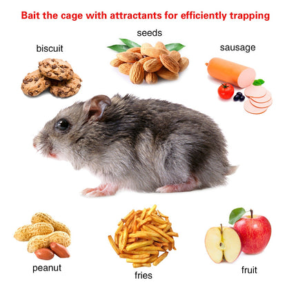 Rat Trap Cage Humane Live Rodent Trap Cage Mouse Control Bait Catch - Home Brains And Brawn