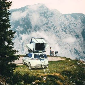 Trustmade Triangle For Outdoor - HomeBrainsandBrawn