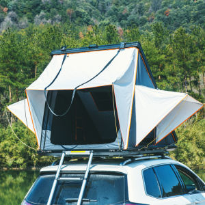 Trustmade Triangle For Outdoor - HomeBrainsandBrawn